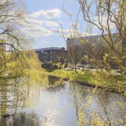 August Vermeylenstraat 42 – Foto 12