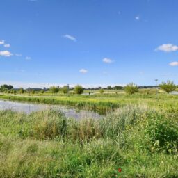 Van Karnebeekstraat 14 – Foto 25