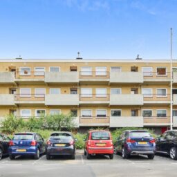 Zonnestein 87 – Foto