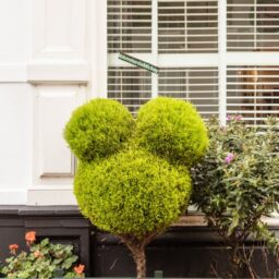 Gerard Doustraat 222 – Foto 20