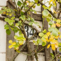 Celebesstraat 34-4 – Foto 10