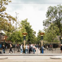 Plantage Kerklaan 1 – Foto 20