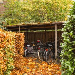 Joh.M. Coenenstraat 46 – Foto 24