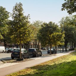 Rooseveltlaan 224-3 – Foto 9