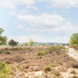 Rijksweg-West 10h – Foto 21