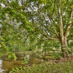 Scherpenzeelstraat 123 – Foto 19