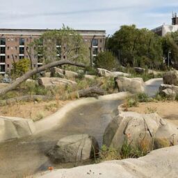 Geschutswerf 73 – Foto 5