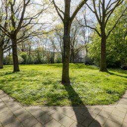 Populierenlaan 479 – Foto 30