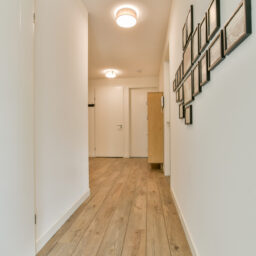 Faas Wilkesstraat 331 – Foto