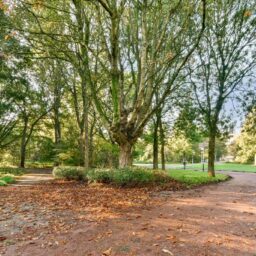 Van Spilbergenstraat 161-3 – Foto 21