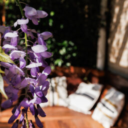 Oostenburgerpark 72 – Foto