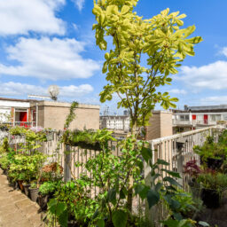 Matrozenhof 37 – Foto 14