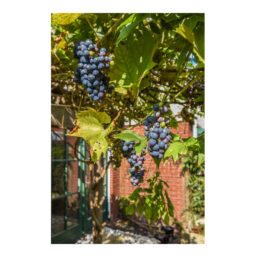 De Windjager 27 – Foto 14