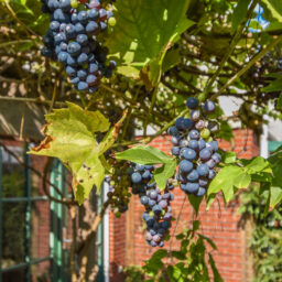 De Windjager 27 – Foto 12