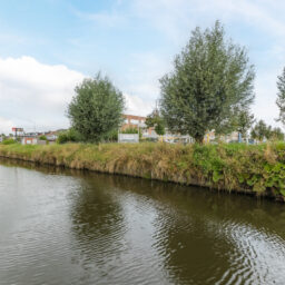 Calveslo 20 – Foto 13