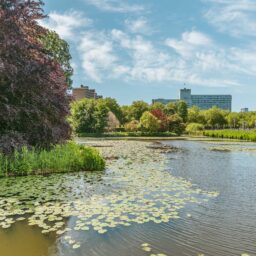 Van Nijenrodeweg 669 – Foto 20