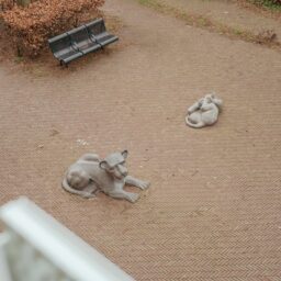 Leeuwenhoekstraat 13 – Foto 23